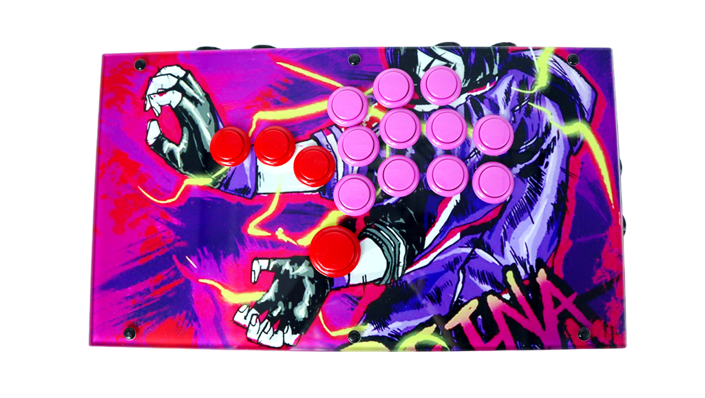 FightBox F Series Custom Buttons Arcade Game Controller Project 01/09/2025