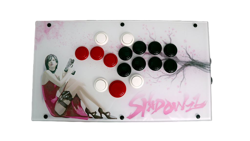 FightBox F-Pro Arcade Game Controller Custom Panel Project 24/12/2025