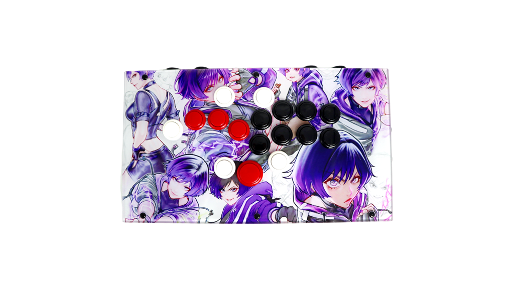 FightBox F-Pro Arcade Game Controller Custom Panel Project 22/06/2026