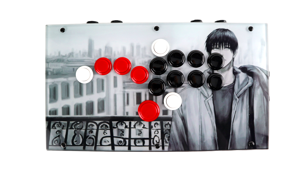 FightBox F10 Arcade Game Controller Custom Panel Project 20/01/2026