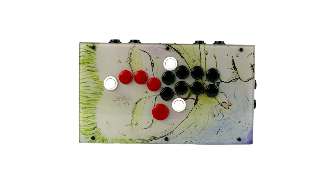 FightBox F10 Arcade Game Controller Custom Panel Project 08/09/2026