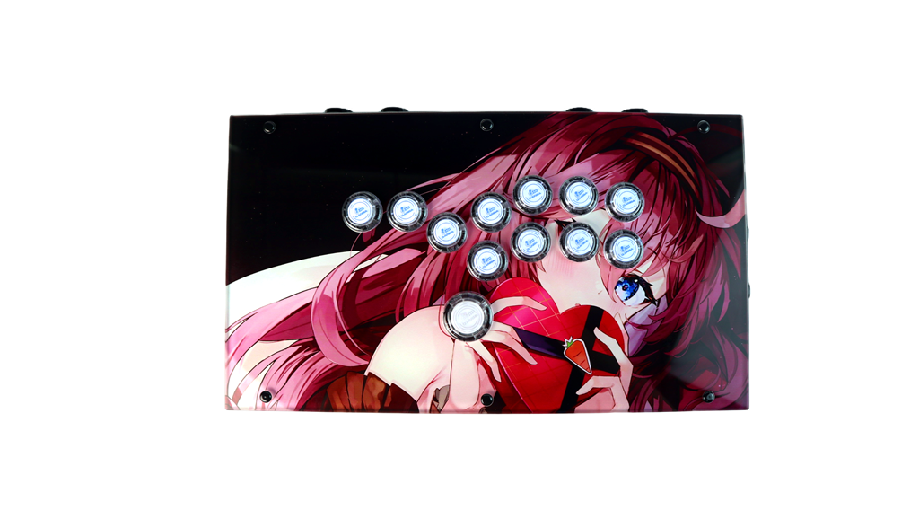 FightBox F1-LED Arcade Game Controller Custom Panel Project 20/09/2026