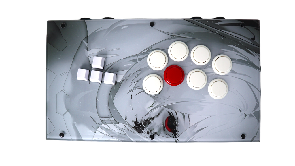 FightBox F6 Arcade Game Controller Custom Panel Project 08/07/2025