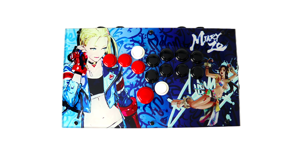 FightBox F8 Arcade Game Controller Custom Panel Project 14/05/2026