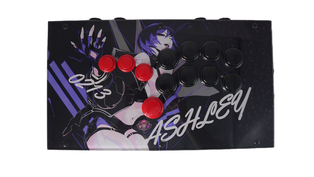 FightBox F9 Arcade Game Controller Custom Panel Project 27/10/2025