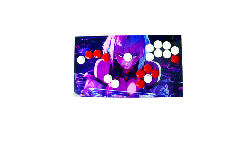 FightBox R1-F Arcade Game Controller Custom Panel Project 17/08/2026