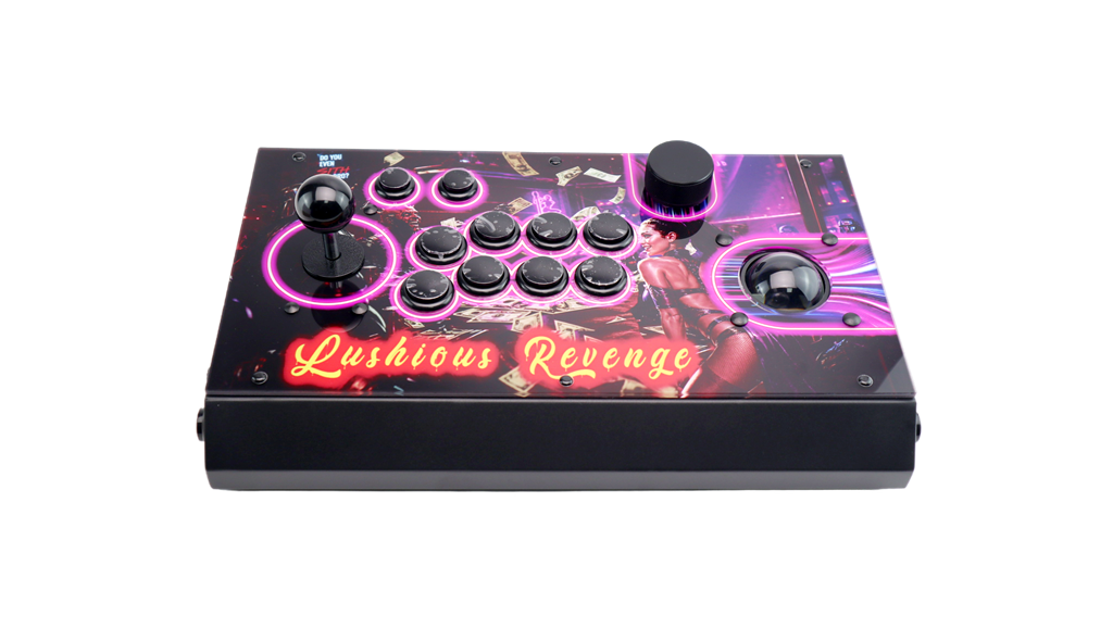 FightBox R10-PRO Arcade Game Controller Custom Panel Project 14/05/2026