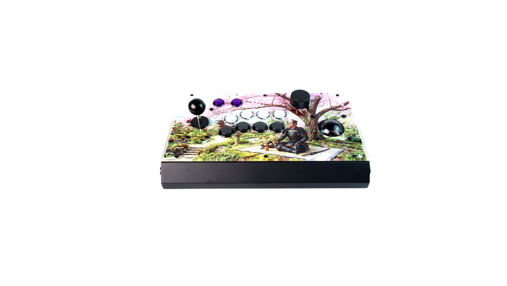 FightBox R10-Pro Arcade Game Controller Custom Panel Project 12/08/2026